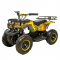 Электрический квадроцикл ATV CLASSIC E 800W NEW